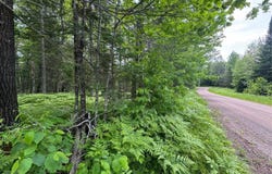xxx Crystal Lake Road, Barnum, MN 55707