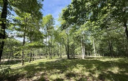 Lott 6 Hobbstown Road, Dunlap, TN 37327