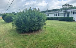 2856 Troutdale Hwy., Mouth of Wilson, VA 24363