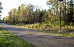 TBD LR 29, Ashdown, AR 71822