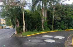 AVE ORQUIDEA, BAYAMON, 00959