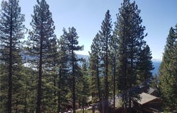 568 DALE Drive, Incline Village, NV 89451