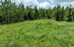 235TH RD, Dowling Park, FL 32060