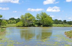 1010 St Delight Road, Paige, TX 78659
