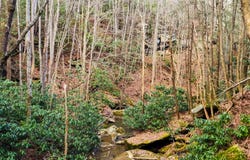 02 Little White Oak Rd., Duff, TN 37729
