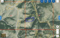 Bell Lode, Sur 1320, 19.48 AC - Mining Claim, Virginia City, MT 59729