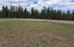 104 CHAP WAY, Hartsel, CO 80449