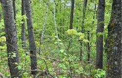 Lots 5-10 Mid Iron, Garrison, MN 56450
