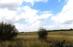 1175 MOSES RD., Quemado, TX 78877