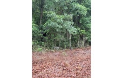 Alma Drive, North, SC 29112