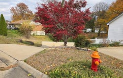 902 E Jackson Boulevard, Jackson, MO 63755