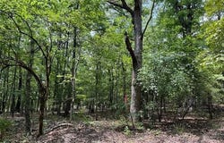 TBD Trestle  ST, Winslow, AR 72959
