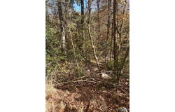 4619 Legacy Preserve Way SE, Brownsboro, AL 35741
