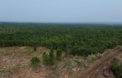 . Sharrett Road, Ellenburg, NY 12933
