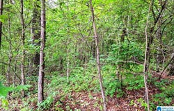 THORNTON LAKE ROAD lot: 1, DORA, AL 35062