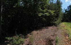 Flagpole Circle, Ellijay, GA 30540