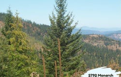 2792 Monarch Rd, St. Maries, ID 83861