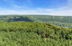 3965 Crockett Point, Jasper, TN 37347