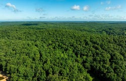 0 Grant Lane, Bates, AR 72501-0001