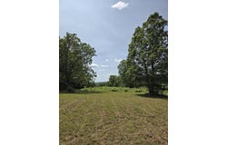 5 Cowboy Trail, Buffalo, MO 65622
