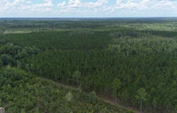0 Fire Tower, Manor, GA 31550