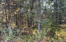 S Loon Lake Rd., Aurora, MN 55705