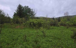 8932 Stout Road, Cuba, NY 14727