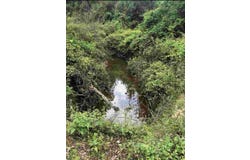Aster Road, Gilmer, TX 75644