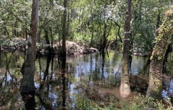 6769 SANDSDALE Road, Macclenny, FL 32063