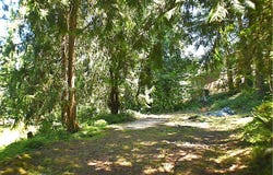 87835 UPLAND ST, Springfield, OR 97478