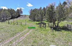 555 Glenarm Avenue, Collbran, CO 81624