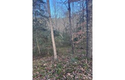 Hearthstone Drive unit: 70, Union Mills, NC 28167
