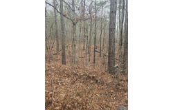 1 Sugarland Lake Resort, Oneonta, AL 35121