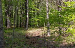 Rowell Drive, Franklin, NH 03235