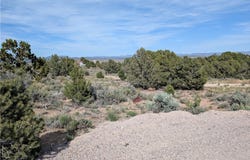 Bartolo (2 Acres), Pioche, NV 89043