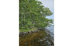 00 Mouse Island, Old Town, ME 04468