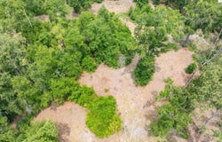 TBD 191ST RD, Live Oak, FL 32060