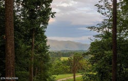 143 Moody Moon Ridge Way, Newport, TN 37821