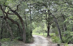 596 Herron TRL, McDade, TX 78650