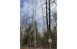 Lot 8 SUNSET RD, Eagle River, WI 54521