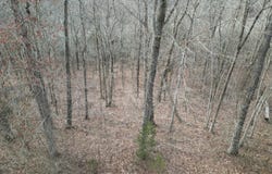 26 Colonel Drive, Burnside, KY 42519