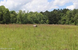 Vine Drive, Brandon, MS 39047