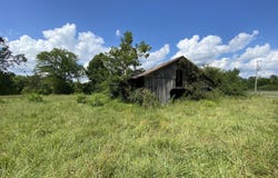 00 Skating Ring Road Road, Red Banks, MS 38661