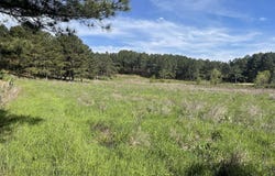 0 BUSBY CUT OFF ROAD, NAUVOO, AL 35578