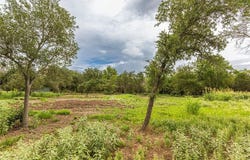 0 Abel Road, New Ulm, TX 78950