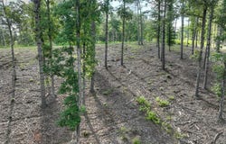 190 Split Creek Road, Morganton, GA 30560