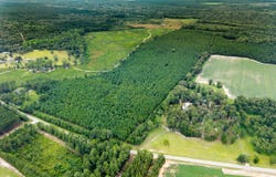 Apprx 14 Acres Old River, Statesboro, GA 30461