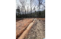 823 TIMOTHY DRIVE, OXFORD, AL 36203