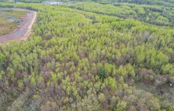 12554 W Skyline Pkwy, Duluth, MN 55810