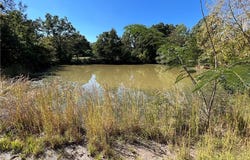 Tract 4 Highway 170, Farmington, AR 72730